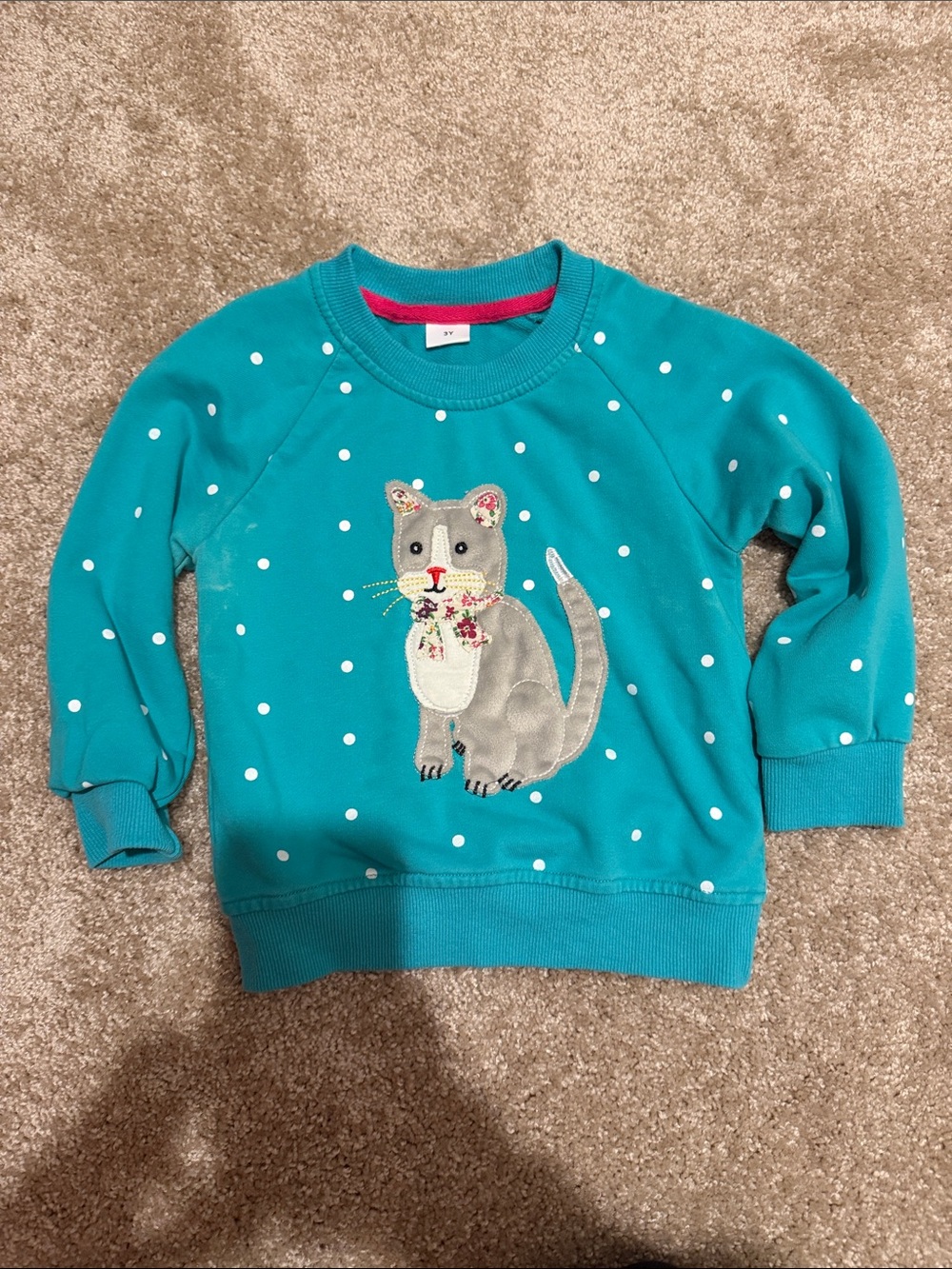 Turquoise Polka Dot Cat Sweatshirt for Kids